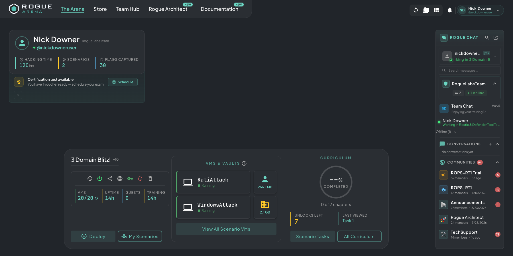 Arena home with the Rogue Chat panel docked on the right, showing conversations and community rooms